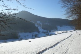 Skier statt Laufschuhe: Im Winter hilft ein gelegentlicher Skiausflug, die Laufform zu verbessern