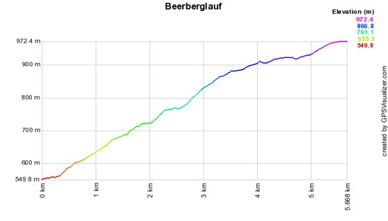 Höhenprofil vom Beerberglauf - 6 km