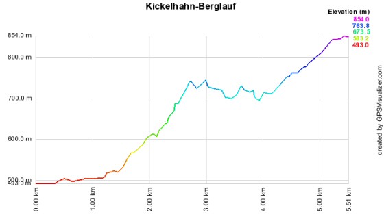 Höhenprofil vom Kickelhahn-Berglauf